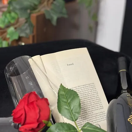 Romantic Bathtube Cismigiu Park 2 * Bukareszt