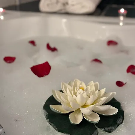 Apartment Romantic Bathtube Cismigiu Park 2 Bucharest