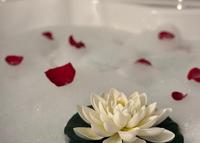 דירה Romantic Bathtube Cismigiu Park 2 בוקרשט